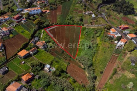 Terra a Santana, Madeira, Santana - € 59.000 | Ref: 081230178 - foto 5
