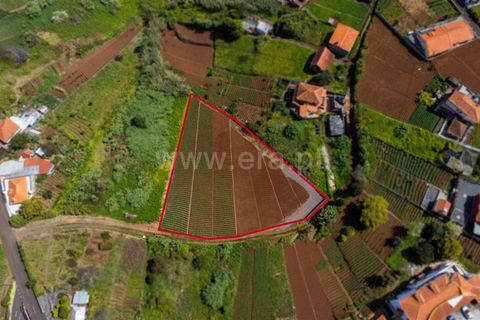 Terra a Santana, Madeira, Santana - € 59.000 | Ref: 081230178 - foto 6