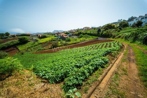 Terra a Santana, Madeira, Santana - € 59.000 | Ref: 081230178 - foto 7