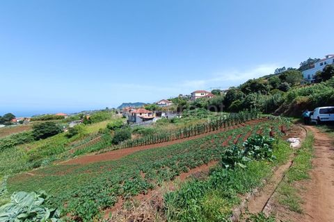 Terra a Santana, Madeira, Santana - € 59.000 | Ref: 081230178 - foto 8