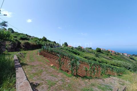 Terra a Santana, Madeira, Santana - € 59.000 | Ref: 081230178 - foto 9