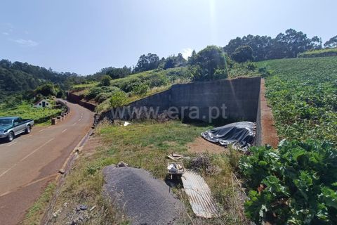 Terra a Santana, Madeira, Santana - € 59.000 | Ref: 081230417 - foto 5