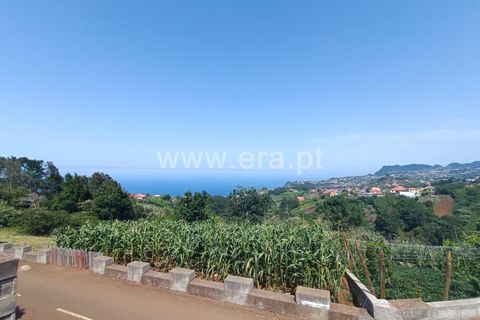 Terra a Santana, Madeira, Santana - € 59.000 | Ref: 081230417 - foto 6
