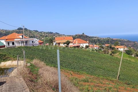 Terra a Santana, Madeira, Santana - € 80.000 | Ref: 081230433 - foto 3