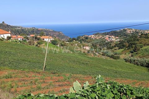 Terra a Santana, Madeira, Santana - € 80.000 | Ref: 081230433 - foto 4