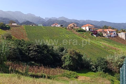 Terra a Santana, Madeira, Santana - € 80.000 | Ref: 081230433 - foto 5