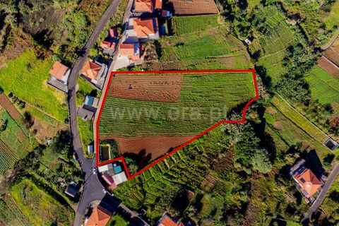 Terra a Santana, Madeira, Santana - € 80.000 | Ref: 081230433 - foto 10