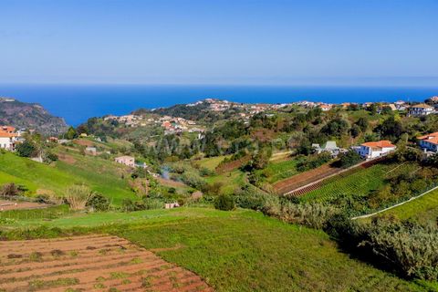 Terra a Santana, Madeira, Santana - € 80.000 | Ref: 081230433 - foto 12
