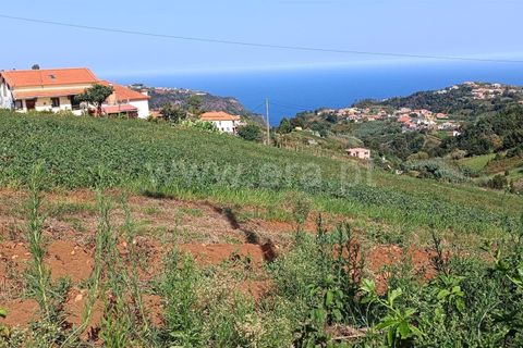 Terra a Santana, Madeira, Santana - € 100.000 | Ref: 081230434 - foto 2