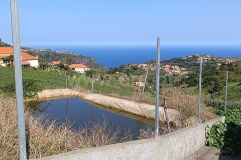 Terra a Santana, Madeira, Santana - € 100.000 | Ref: 081230434 - foto 3