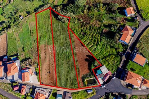 Terra a Santana, Madeira, Santana - € 100.000 | Ref: 081230434 - foto 7