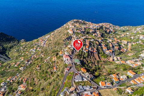 Terra a Ribeira Brava, Madeira, Ribeira Brava - € 60.000 | Ref: 081220297 - foto 2