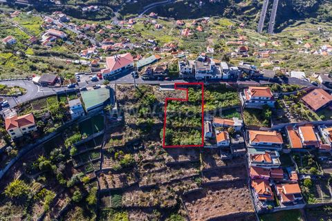 Terra a Ribeira Brava, Madeira, Ribeira Brava - € 60.000 | Ref: 081220297 - foto 4