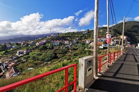 Terra a Ribeira Brava, Madeira, Ribeira Brava - € 60.000 | Ref: 081220297 - foto 5