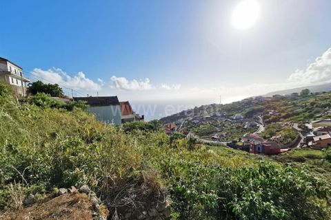 Terra a Ribeira Brava, Madeira, Ribeira Brava - € 60.000 | Ref: 081220297 - foto 6