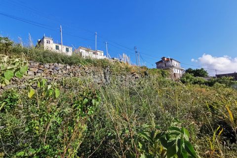 Terra a Ribeira Brava, Madeira, Ribeira Brava - € 60.000 | Ref: 081220297 - foto 7
