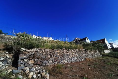 Terra a Ribeira Brava, Madeira, Ribeira Brava - € 60.000 | Ref: 081220297 - foto 8