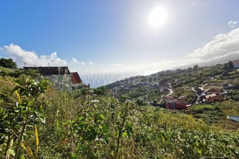 Terra a Ribeira Brava, Madeira, Ribeira Brava - € 60.000 | Ref: 081220297 - foto 9