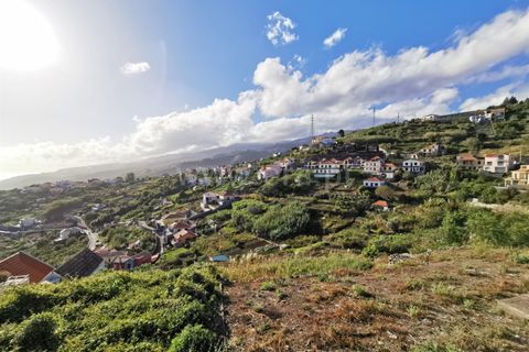 Terra a Ribeira Brava, Madeira, Ribeira Brava - € 60.000 | Ref: 081220297 - foto 11