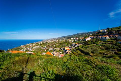 Terra a Ribeira Brava, Madeira, Ribeira Brava - € 60.000 | Ref: 081220297 - foto 12