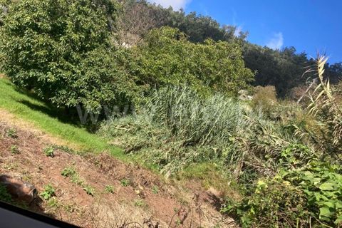 Tomt i Calheta, Madeira, Calheta - € 90 000 | Ref: 081220464 - foto 2