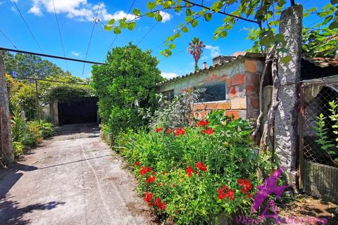 Villa i Viana do Castelo, Viana do Castelo, Viana do Castelo - € 318.500 | Ref: 173/2024 - foto 14