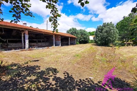 Villa i Viana do Castelo, Viana do Castelo, Viana do Castelo - € 318.500 | Ref: 173/2024 - foto 16