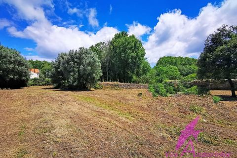 Villa i Viana do Castelo, Viana do Castelo, Viana do Castelo - € 318.500 | Ref: 173/2024 - foto 18