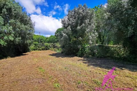 Villa i Viana do Castelo, Viana do Castelo, Viana do Castelo - € 318.500 | Ref: 173/2024 - foto 20