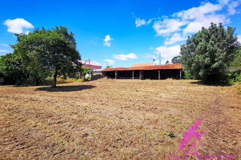 Villa i Viana do Castelo, Viana do Castelo, Viana do Castelo - € 318.500 | Ref: 173/2024 - foto 21
