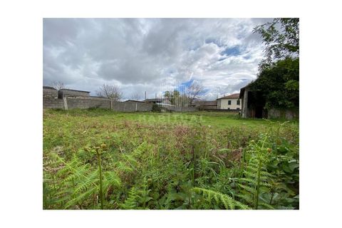 Helårsgrund i Valenca, Viana do Castelo, Valenca - € 62.500 | Ref: EM194 - foto 6