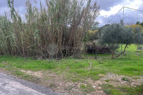 Вилла в Estoi, Faro, Estoi - € 2 500 000 | Ссылка: IF-870 - photo 26