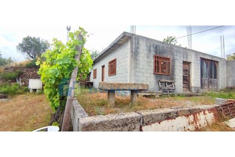 Farm i Vila Real, Vila Real, Vila Real - € 230.000 | Ref: Qta018 - foto 3