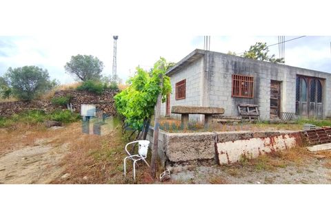 Farm i Vila Real, Vila Real, Vila Real - € 230.000 | Ref: Qta018 - foto 4