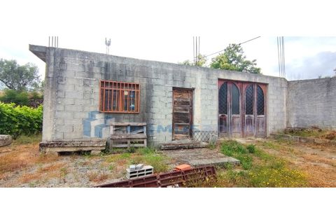 Farm i Vila Real, Vila Real, Vila Real - € 230.000 | Ref: Qta018 - foto 5