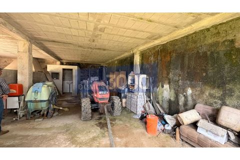 Farm i Vila Real, Vila Real, Vila Real - € 230.000 | Ref: Qta018 - foto 14