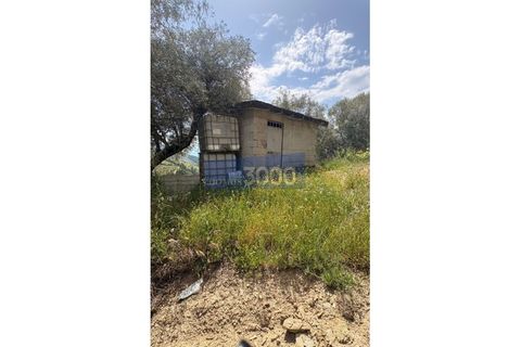 Farm i Vila Real, Vila Real, Vila Real - € 230.000 | Ref: Qta018 - foto 15