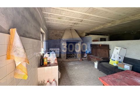 Farm i Vila Real, Vila Real, Vila Real - € 230.000 | Ref: Qta018 - foto 16