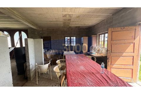 Farm i Vila Real, Vila Real, Vila Real - € 230.000 | Ref: Qta018 - foto 17