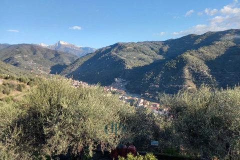 Villa a Dolceacqua, Imperia, Dolceacqua - € 650.000 | Ref: 85043607 - foto 15