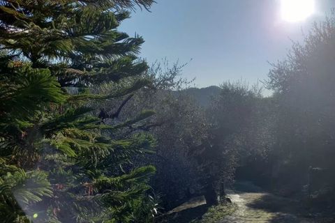 Villa a Dolceacqua, Imperia, Dolceacqua - € 650.000 | Ref: 85043607 - foto 4