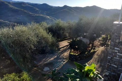 Villa a Dolceacqua, Imperia, Dolceacqua - € 650.000 | Ref: 85043607 - foto 14