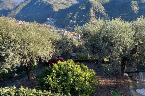 Villa a Dolceacqua, Imperia, Dolceacqua - € 650.000 | Ref: 85043607 - foto 16