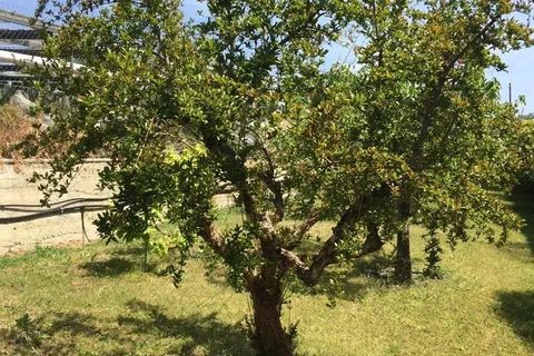 Villa i Sanremo, Imperia, Sanremo - € 1.650.000 | Ref: 85043716 - foto 13