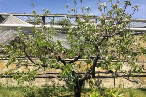 Villa i Sanremo, Imperia, Sanremo - € 1.650.000 | Ref: 85043716 - foto 16