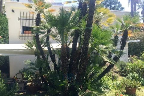 Villa i Sanremo, Imperia, Sanremo - € 3.500.000 | Ref: 85043733 - foto 21