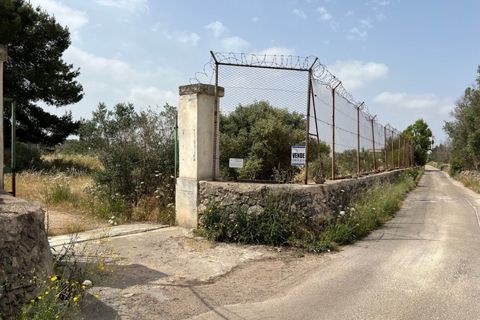 Terra a Matino, Lecce, Matino - € 198.000 | Ref: MAW-198 - foto 4