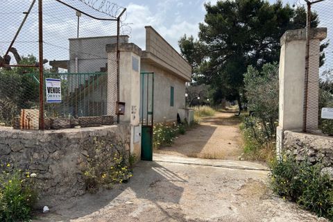 Terra a Matino, Lecce, Matino - € 198.000 | Ref: MAW-198 - foto 5