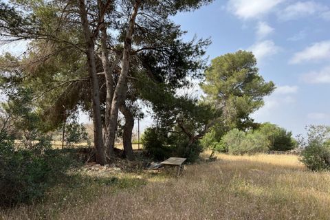 Terra a Matino, Lecce, Matino - € 198.000 | Ref: MAW-198 - foto 6
