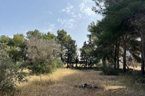 Terra a Matino, Lecce, Matino - € 198.000 | Ref: MAW-198 - foto 7